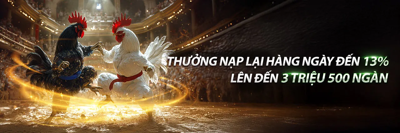 Đội ngũ trực tiếp đá gà 88 chuyên nghiệp