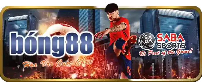Chiến lược và mẹo cá cược bóng đá hiệu quả